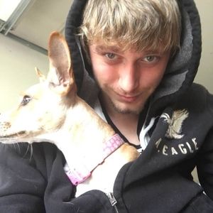 Meet your Posher, David